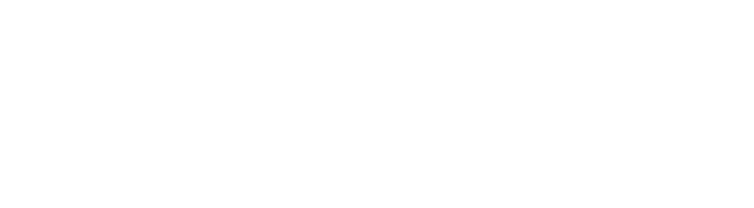 SotaX